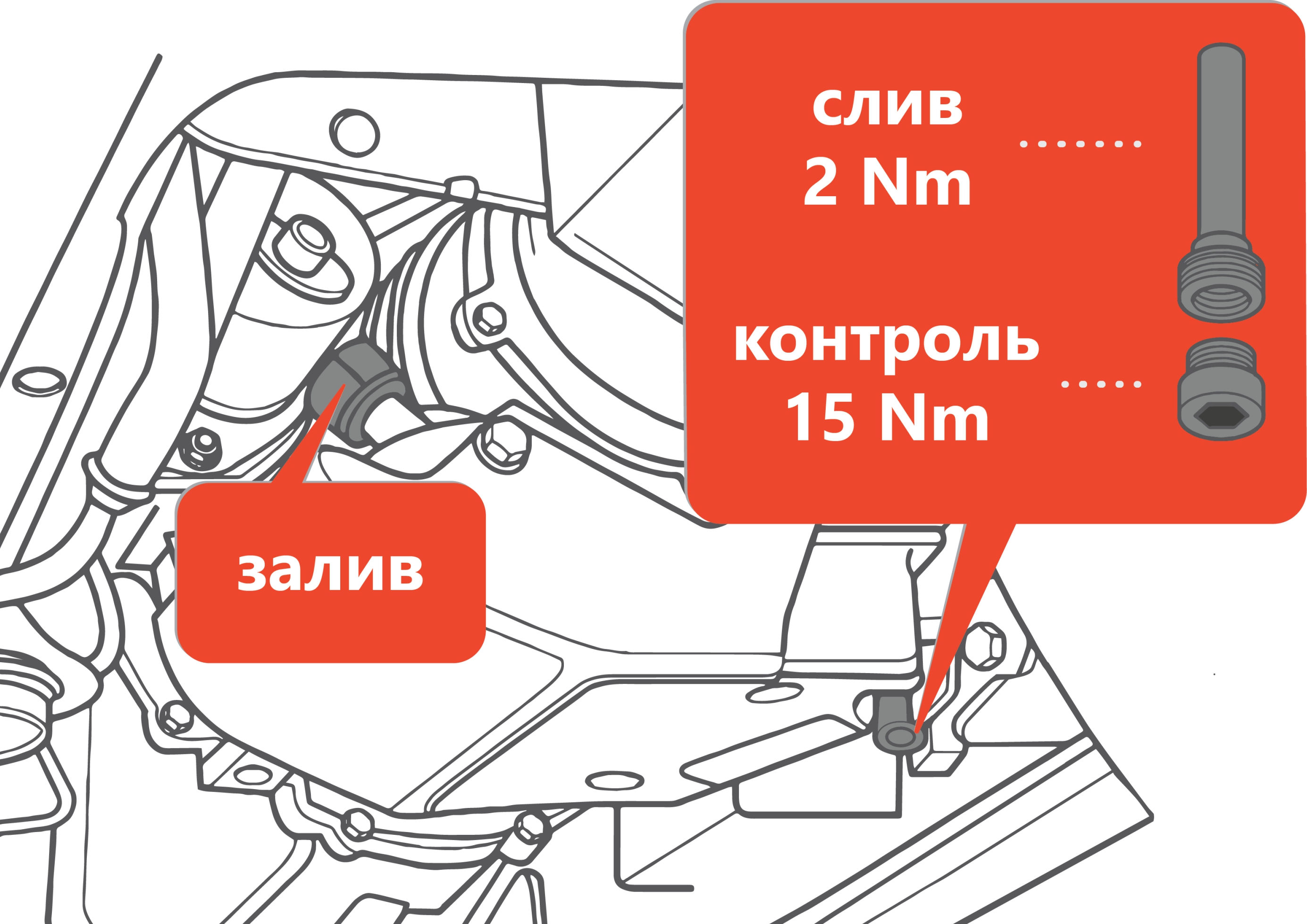 Схема узла АКПП с моментами затяжки из справочника MTL